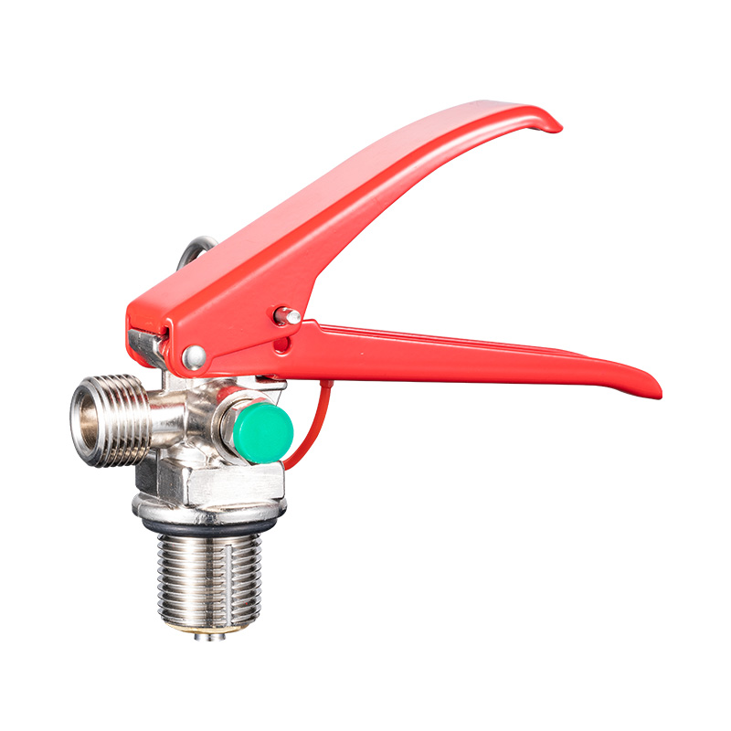 2-7 kg di CO2 Fire Extinguisher in acciaio inossidabile Valvola a maniglia rossa 2030